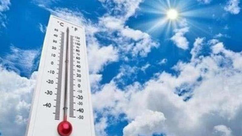 بوابة الكلمة