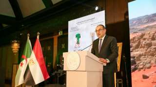 وزير قطاع الأعمال يشارك في احتفالية سفارة الجزائر... وزير قطاع الأعمال يشارك في احتفالية سفارة الجزائر بالذكرى الـ71 للثورة التحريرية