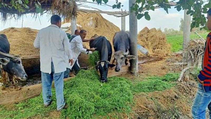 ”الزراعة” تواصل جهود دعم مربي الثروة الحيوانية