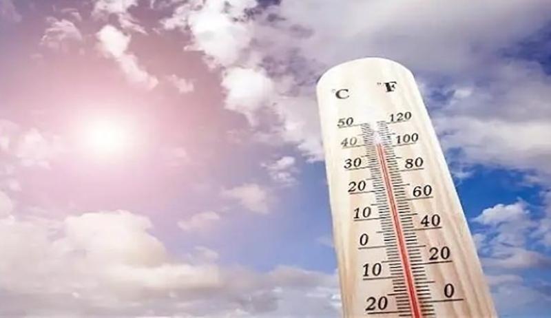 بوابة الكلمة