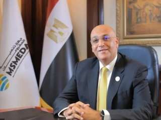 المالية وجهاز تنمية المشروعات ينفذان خطة طموحة لدعم رواد الأعمال وقطاع المشروعات المتوسطة والصغيرة