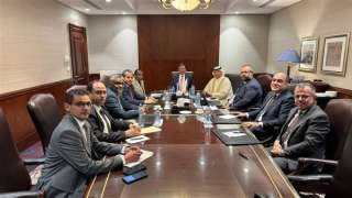 وزير الزراعة يبحث تعزيز الاستثمارات العربية في المجال الزراعي مع رئيس الهيئة العربية للاستثمار