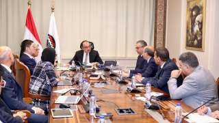 وزير قطاع الأعمال يلتقي تحالف شركتي ”إنفيجن إنيرجي” و”بنشمارك باور إنترناشونال”