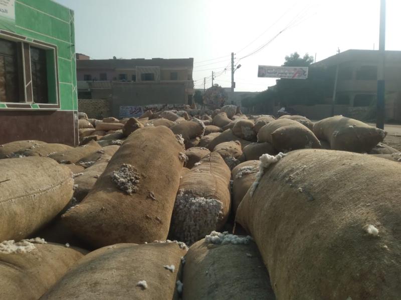 بوابة الكلمة