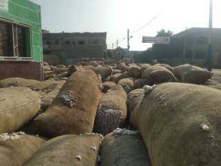 الزراعة تضرب بيد من حديد: ضبط شونة ضخمة لتخزين وبيع القطن بدون ترخيص في الشرقية