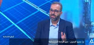عمرو البحيري: الاستثمار الخاص نجح في تطوير طبيعة... عمرو البحيري: الاستثمار الخاص نجح في تطوير طبيعة وأنواع ثروة النخيل والتمور المصرية