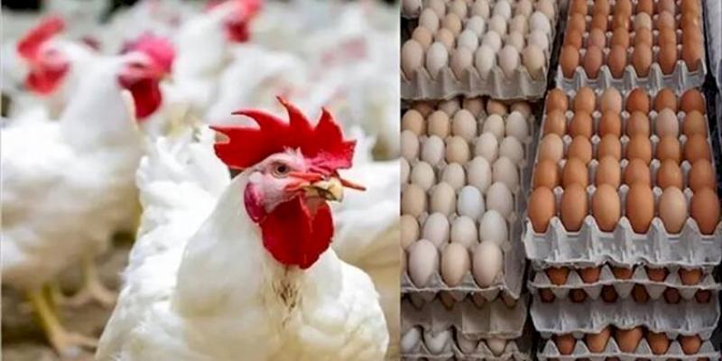 بوابة الكلمة