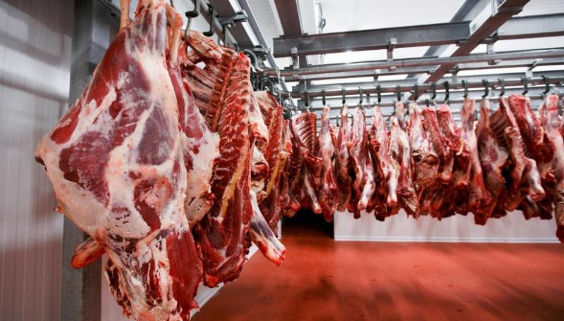 بوابة الكلمة