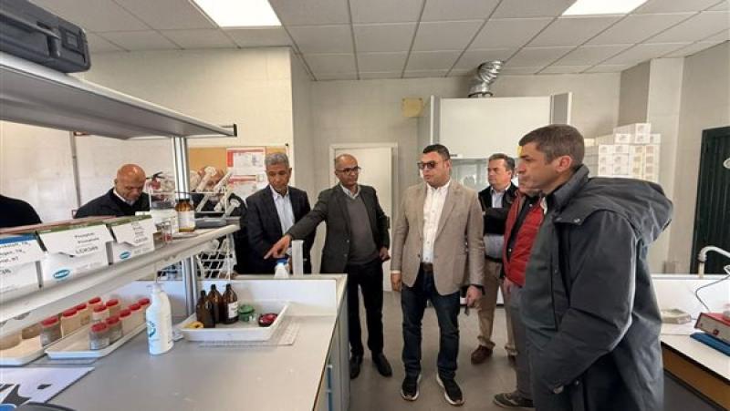 بوابة الكلمة