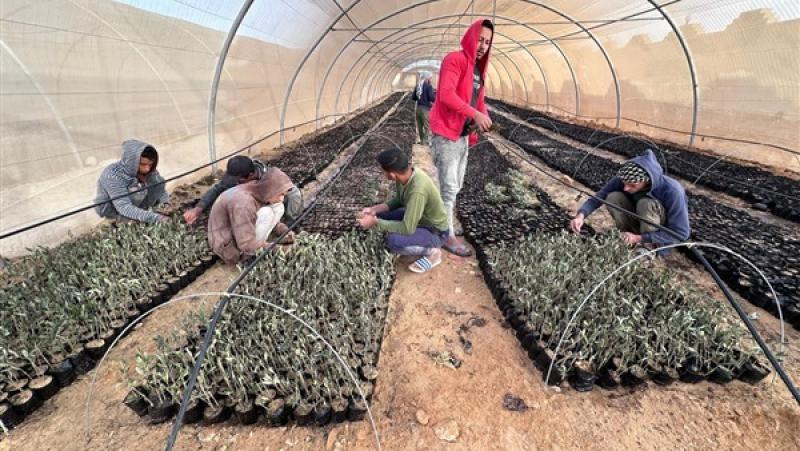 بوابة الكلمة