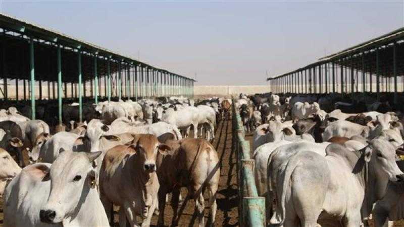 Sorry! Image not available at this time