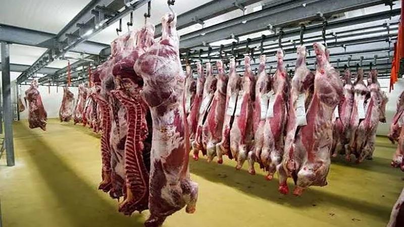 بوابة الكلمة